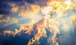Colombe et langues de feu